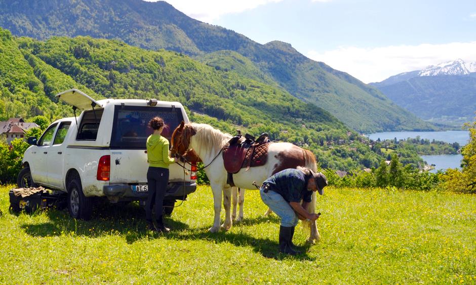 veterinaire rural